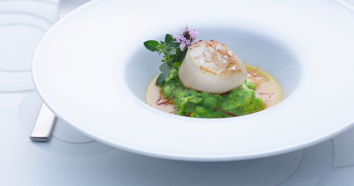 Gebratene Jakobsmuschel – Rezepte – Kulinarik – WIBERG