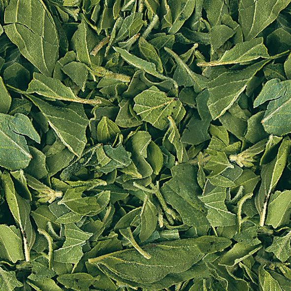 Oregano, gefriergetrocknet