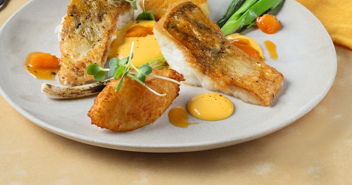 Knusprig gebratenes Zanderfilet – Rezepte – Kulinarik – WIBERG
